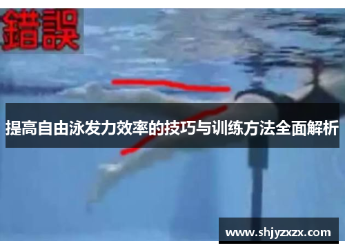 提高自由泳发力效率的技巧与训练方法全面解析