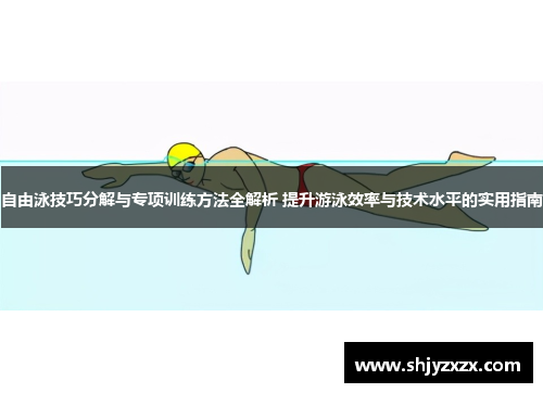 自由泳技巧分解与专项训练方法全解析 提升游泳效率与技术水平的实用指南