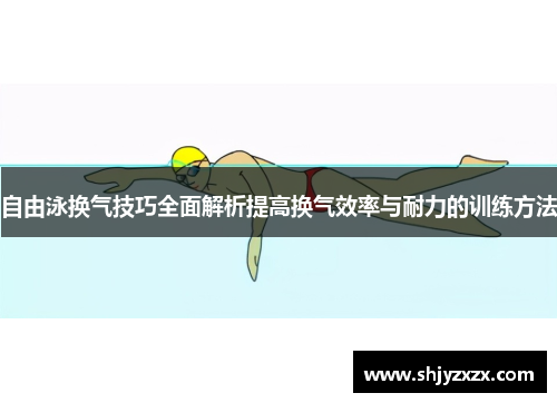 自由泳换气技巧全面解析提高换气效率与耐力的训练方法