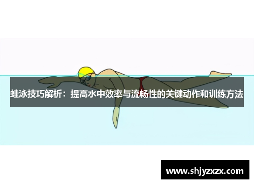 蛙泳技巧解析：提高水中效率与流畅性的关键动作和训练方法