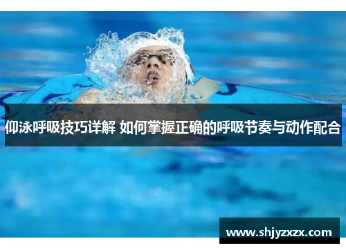 仰泳呼吸技巧详解 如何掌握正确的呼吸节奏与动作配合