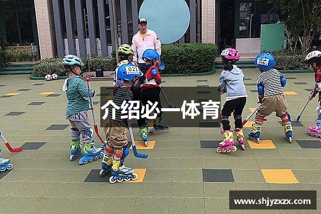 介绍必一体育